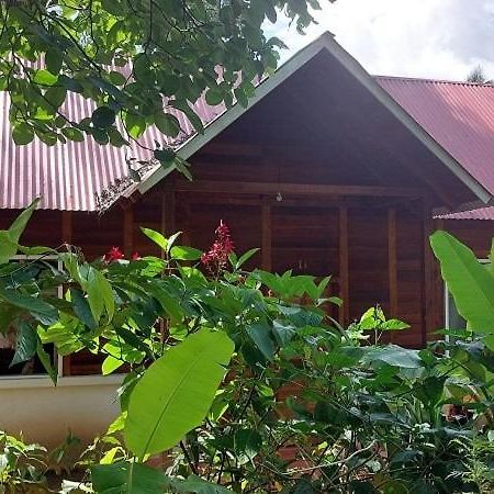 Cabanas Yax-Ha Arroyo Agua Azul Zewnętrze zdjęcie