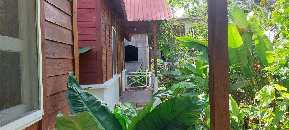 Cabanas Yax-Ha Arroyo Agua Azul Zewnętrze zdjęcie