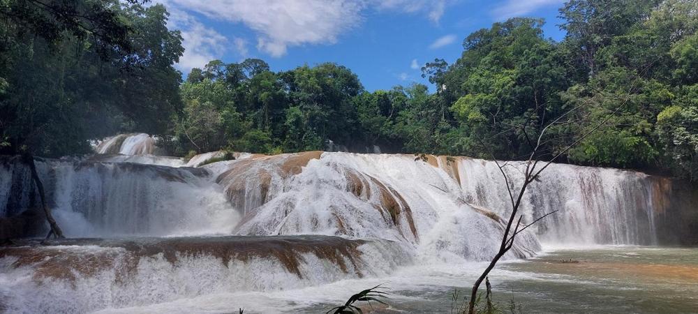 Cabanas Yax-Ha Arroyo Agua Azul Zewnętrze zdjęcie