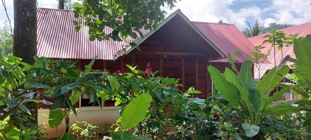 Cabanas Yax-Ha Arroyo Agua Azul Zewnętrze zdjęcie